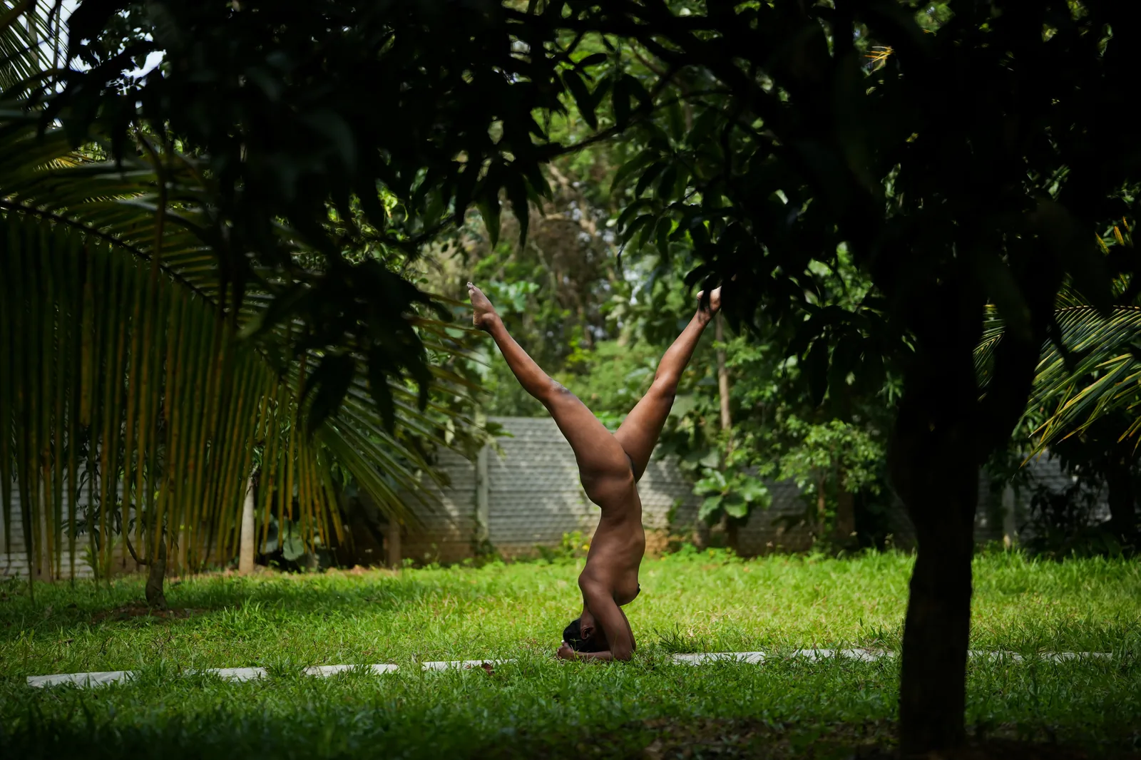 Fine art headstand silhouette framed by trees